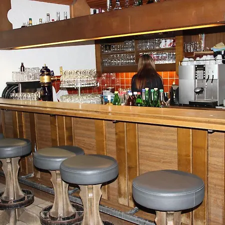Hotel Bergfreund 2*