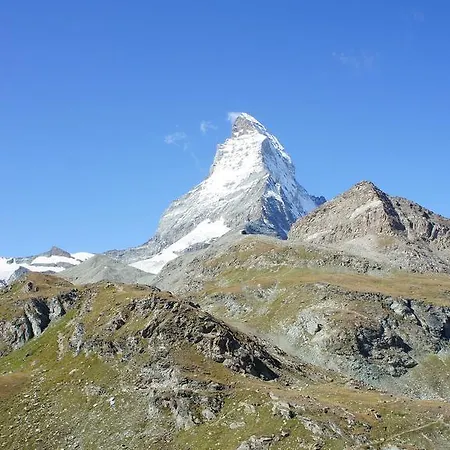 Bergfreund