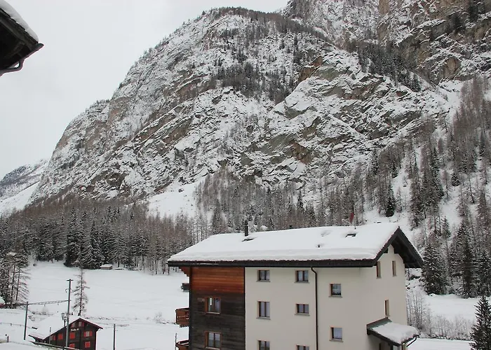 Bergfreund